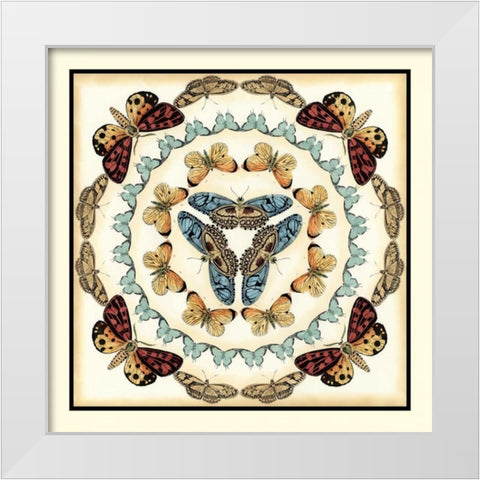 Butterfly Collector IV White Modern Wood Framed Art Print by Zarris, Chariklia