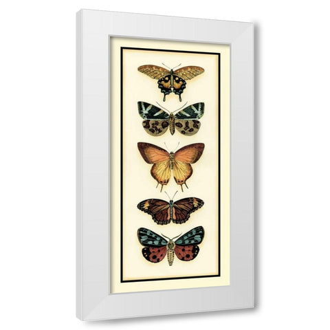 Butterfly Collector V White Modern Wood Framed Art Print by Zarris, Chariklia