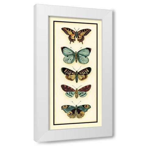 Butterfly Collector VI White Modern Wood Framed Art Print by Zarris, Chariklia