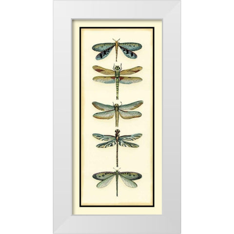 Dragonfly Collector I White Modern Wood Framed Art Print by Zarris, Chariklia