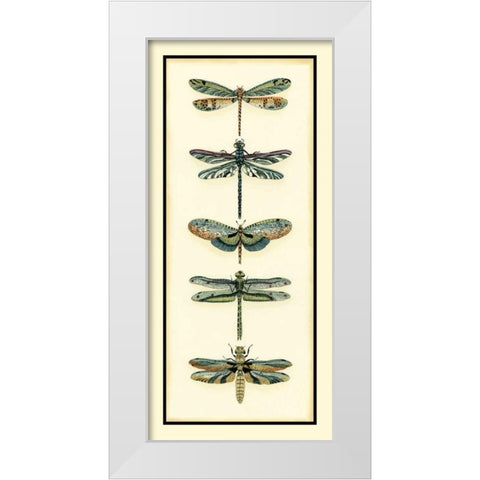 Dragonfly Collector II White Modern Wood Framed Art Print by Zarris, Chariklia