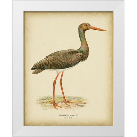 Non-embellished Vintage Heron I White Modern Wood Framed Art Print by Wright, Von