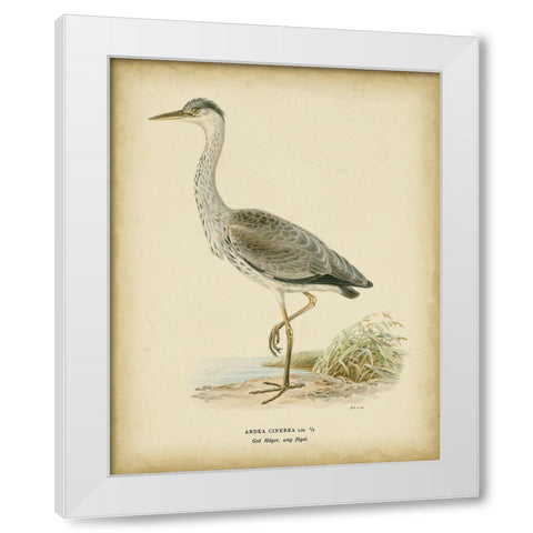 Non-embellished Vintage Heron II White Modern Wood Framed Art Print by Wright, Von