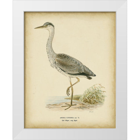 Non-embellished Vintage Heron II White Modern Wood Framed Art Print by Wright, Von