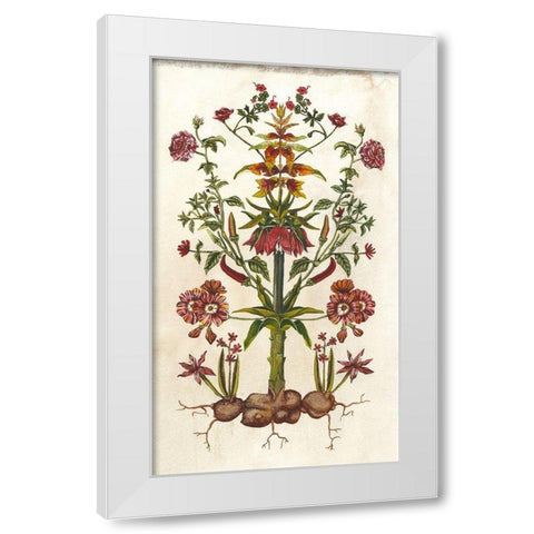 Botanical Hybrid I White Modern Wood Framed Art Print by McCavitt, Naomi