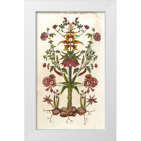 Botanical Hybrid I White Modern Wood Framed Art Print by McCavitt, Naomi