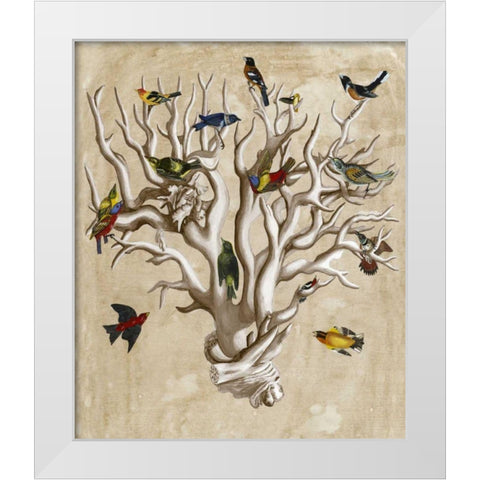 The Ornithologists Dream I White Modern Wood Framed Art Print by McCavitt, Naomi