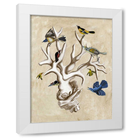 The Ornithologists Dream II White Modern Wood Framed Art Print by McCavitt, Naomi