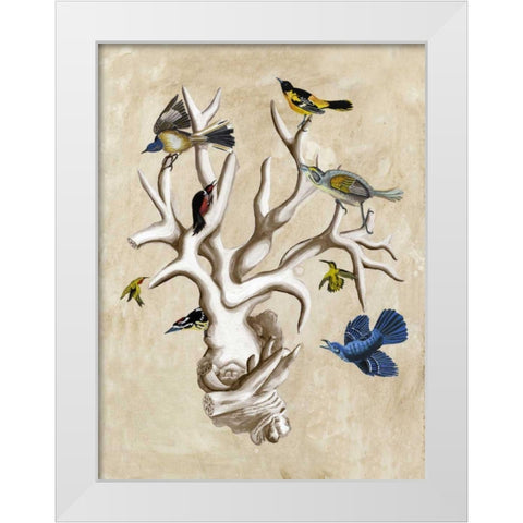 The Ornithologists Dream II White Modern Wood Framed Art Print by McCavitt, Naomi