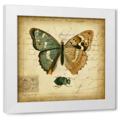 Custom Postscript Butterfly I (GC) White Modern Wood Framed Art Print by Vision Studio