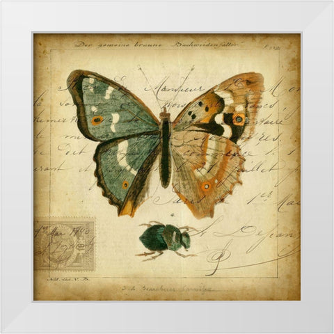 Custom Postscript Butterfly I (GC) White Modern Wood Framed Art Print by Vision Studio