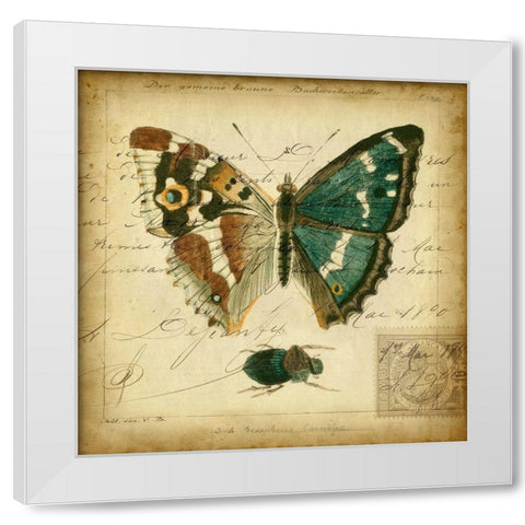 Custom Postscript Butterfly II (GC) White Modern Wood Framed Art Print by Vision Studio