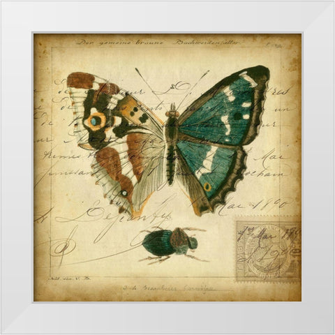 Custom Postscript Butterfly II (GC) White Modern Wood Framed Art Print by Vision Studio