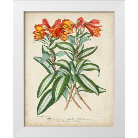 Tropical Array III White Modern Wood Framed Art Print by Van Houtteano, Horto