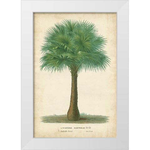 Palm of the Tropics I White Modern Wood Framed Art Print by Van Houtteano, Horto