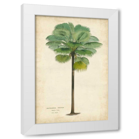 Palm of the Tropics II White Modern Wood Framed Art Print by Van Houtteano, Horto