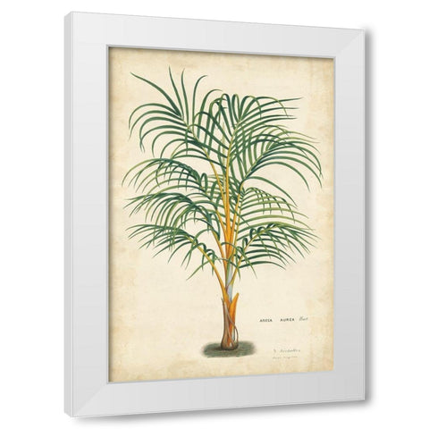 Palm of the Tropics III White Modern Wood Framed Art Print by Van Houtteano, Horto