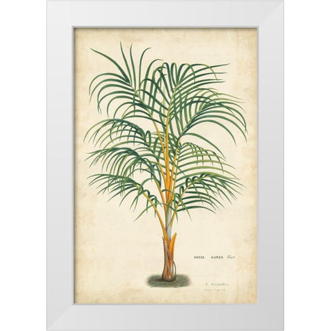 Palm of the Tropics III White Modern Wood Framed Art Print by Van Houtteano, Horto