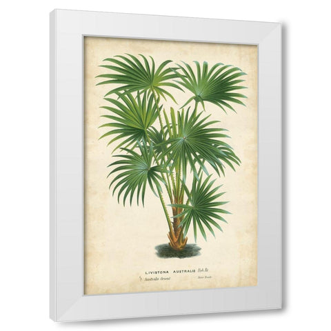 Palm of the Tropics IV White Modern Wood Framed Art Print by Van Houtteano, Horto