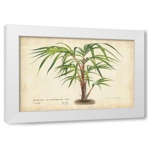 Palm of the Tropics VI White Modern Wood Framed Art Print by Van Houtteano, Horto