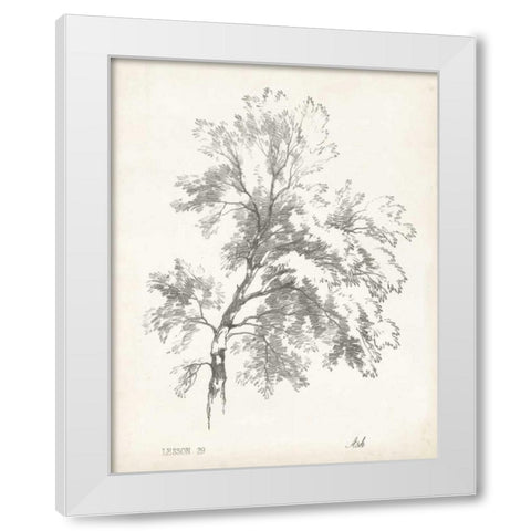Ash Tree Study White Modern Wood Framed Art Print by Unknown