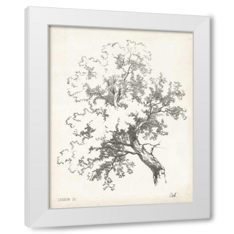 Oak Tree Study White Modern Wood Framed Art Print by Unknown