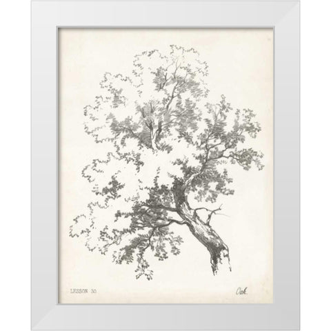 Oak Tree Study White Modern Wood Framed Art Print by Unknown