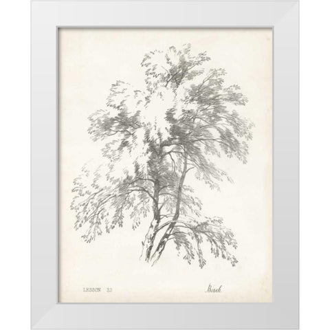 Birch Tree Study White Modern Wood Framed Art Print by Unknown