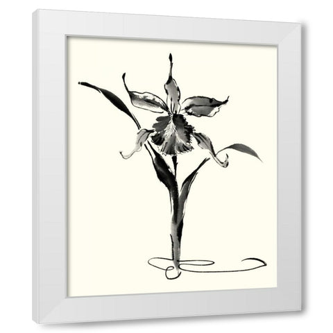 Studies in Ink - Cattleya White Modern Wood Framed Art Print by Rae, Nan