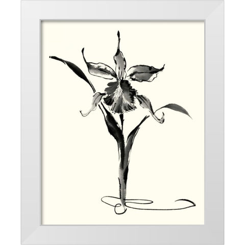 Studies in Ink - Cattleya White Modern Wood Framed Art Print by Rae, Nan