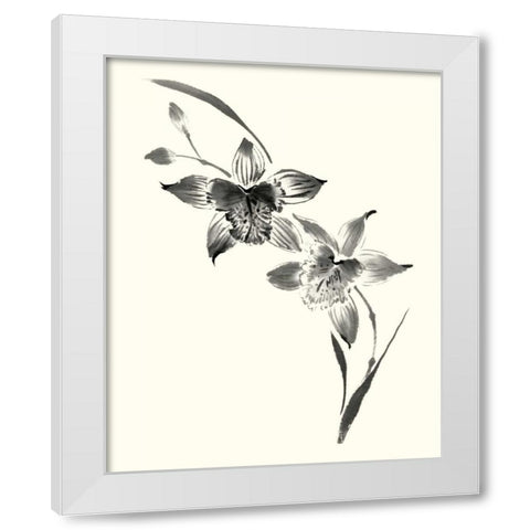 Studies in Ink - Cymbidium White Modern Wood Framed Art Print by Rae, Nan