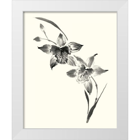 Studies in Ink - Cymbidium White Modern Wood Framed Art Print by Rae, Nan