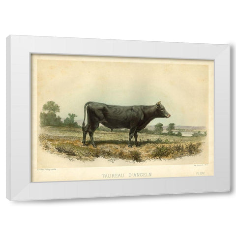 Taureau D Angeln White Modern Wood Framed Art Print by Bonheur, I.