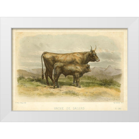 Vache De Salers White Modern Wood Framed Art Print by Bonheur, I.