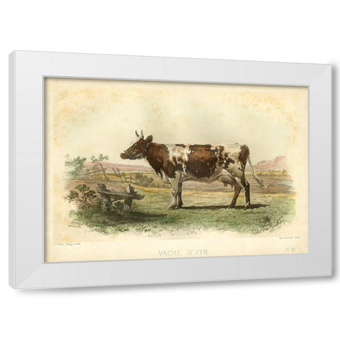 Vache D Ayr White Modern Wood Framed Art Print by Bonheur, I.