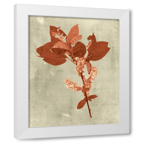 Impressions in Terra Cotta White Modern Wood Framed Art Print by Vision Studio