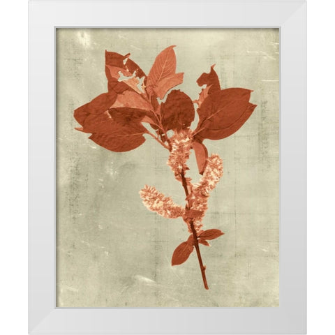 Impressions in Terra Cotta White Modern Wood Framed Art Print by Vision Studio