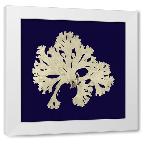Seaweed on Navy IV White Modern Wood Framed Art Print by Vision Studio