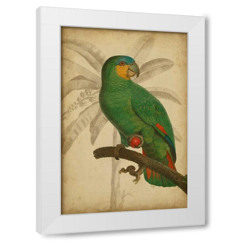 Parrot and Palm I White Modern Wood Framed Art Print by Vision Studio