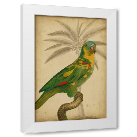 Parrot and Palm II White Modern Wood Framed Art Print by Vision Studio