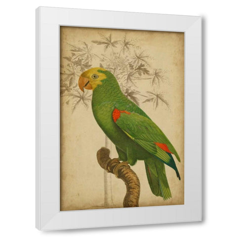 Parrot and Palm III White Modern Wood Framed Art Print by Vision Studio