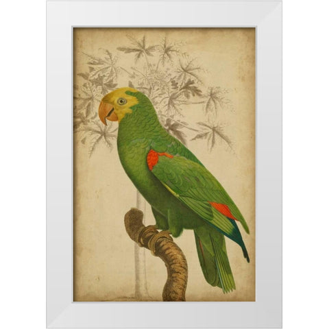 Parrot and Palm III White Modern Wood Framed Art Print by Vision Studio