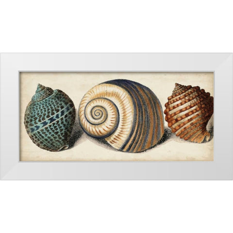 Shell Trio I White Modern Wood Framed Art Print by Vision Studio