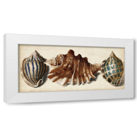 Shell Trio II White Modern Wood Framed Art Print by Vision Studio