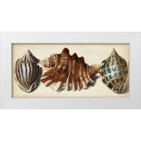 Shell Trio II White Modern Wood Framed Art Print by Vision Studio