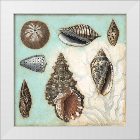 Antique Shell Collage I White Modern Wood Framed Art Print by Meagher, Megan