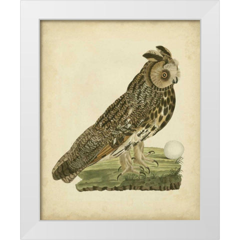 Antique Nozeman Owl III White Modern Wood Framed Art Print by Nozeman