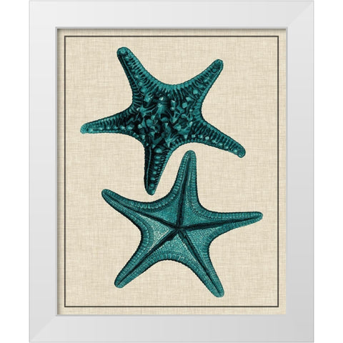 Coastal Starfish II White Modern Wood Framed Art Print by Vision Studio