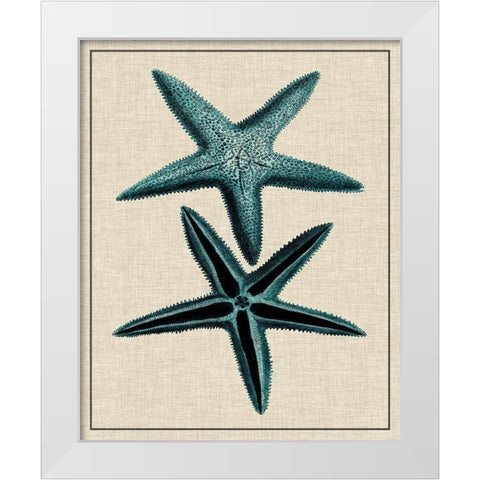 Coastal Starfish III White Modern Wood Framed Art Print by Vision Studio