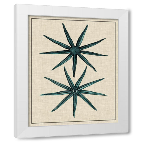 Coastal Starfish IV White Modern Wood Framed Art Print by Vision Studio
